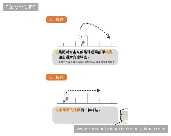 杭州羽毛球队快攻战术解析及其在比赛中的应用与影响 杭州羽毛球队快攻战术解析及其在比赛中的应用与影响