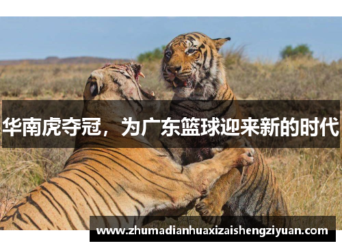 华南虎夺冠，为广东篮球迎来新的时代